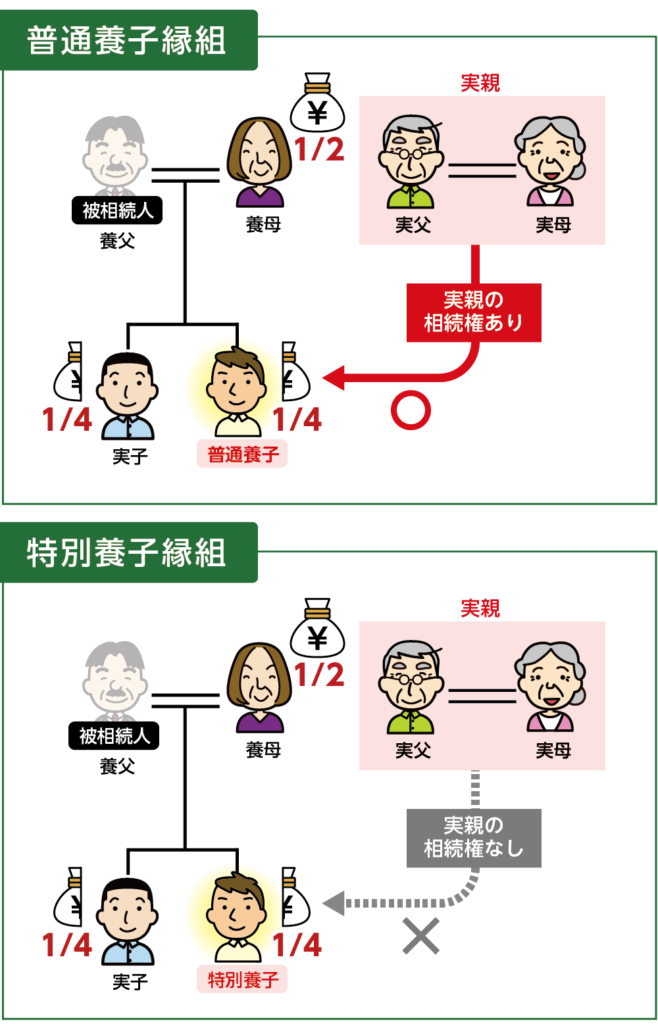 普通養子は養親と実親の両方の相続権を持つ