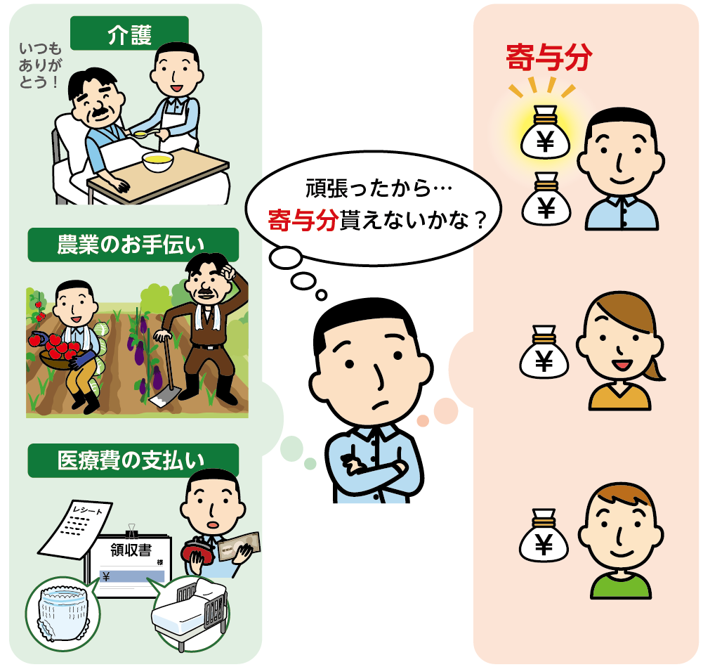 寄与分が認められると相続分が増える